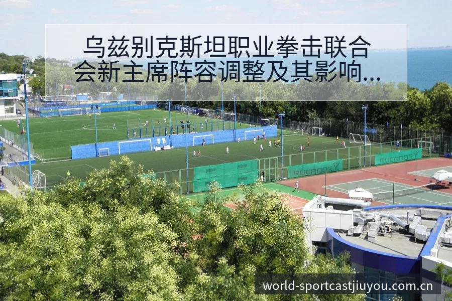 乌兹别克斯坦职业拳击联合会新主席阵容调整及其影响深度分析 - 九游体育APP